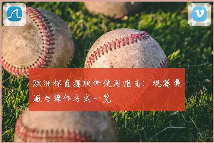 欧洲杯直播软件使用指南：观赛渠道与操作方式一览