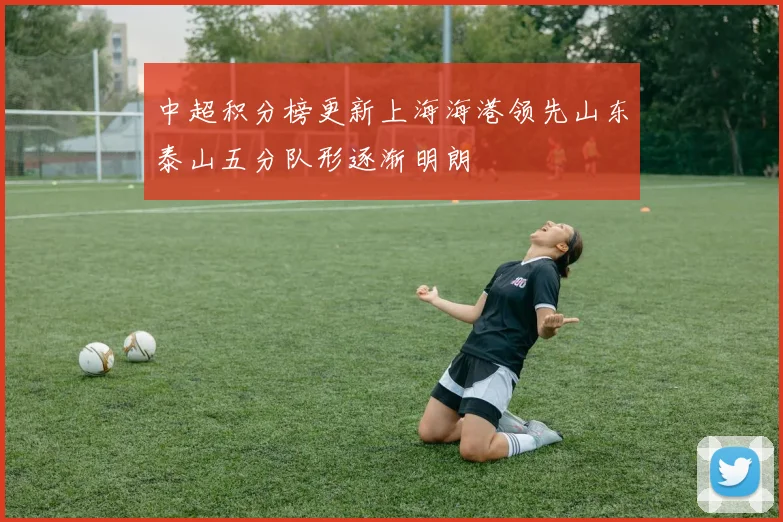 中超积分榜更新上海海港领先山东泰山五分队形逐渐明朗