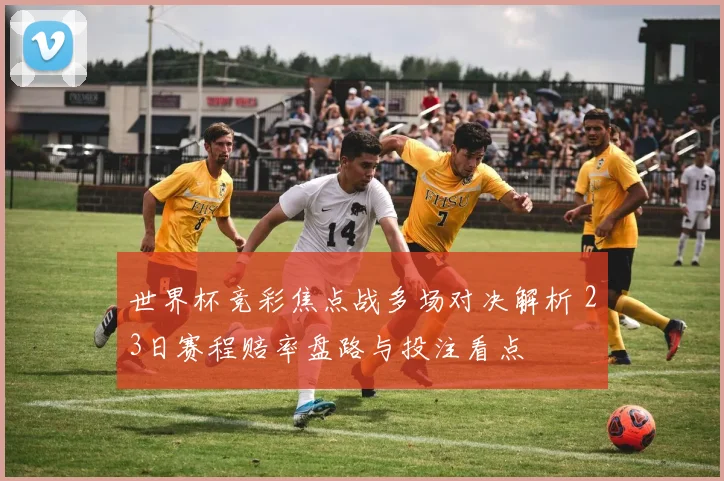 世界杯竞彩焦点战多场对决解析 23日赛程赔率盘路与投注看点
