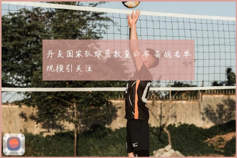 丹麦国家队球员数量公布 备战名单规模引关注