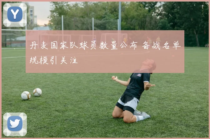 丹麦国家队球员数量公布 备战名单规模引关注