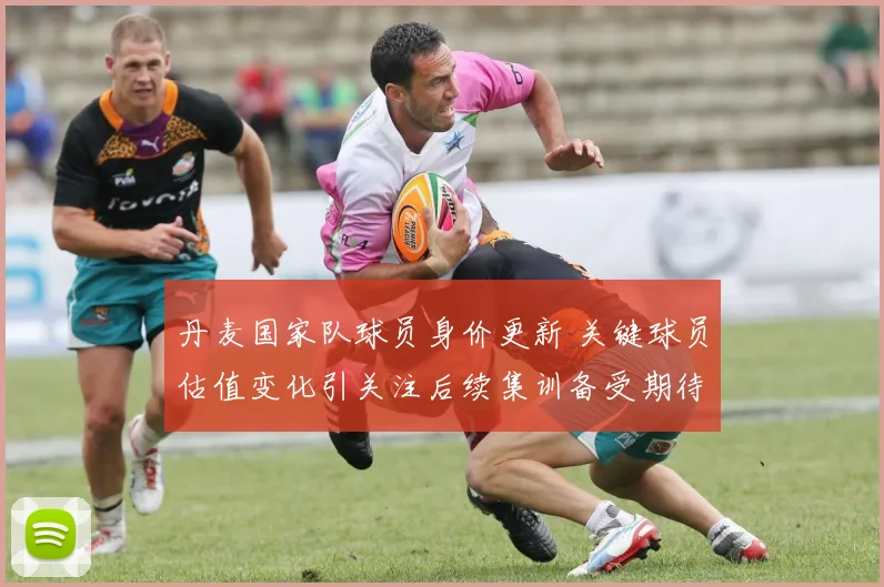 丹麦国家队球员身价更新 关键球员估值变化引关注后续集训备受期待